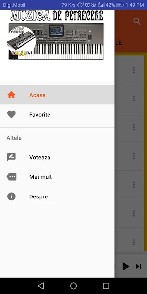 Manele petrecere si voie buna Screenshot 1