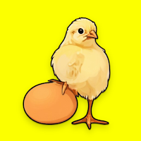 Pollos de Engorde