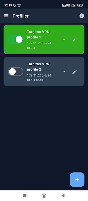 Targitas VPN Client Screenshot 3