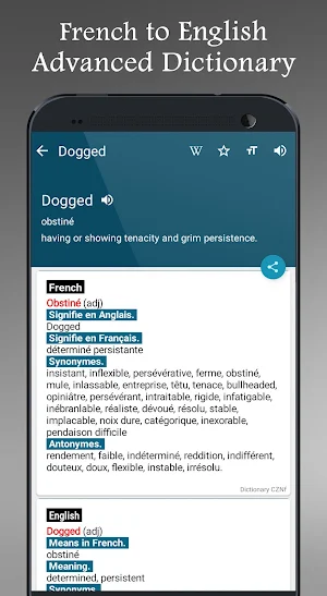 English French Dictionary Plus Screenshot 3