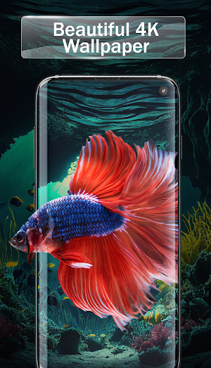 Transparent Live Wallpaper 4K Screenshot 3