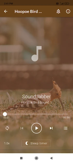 Hoopoe Bird Sounds Screenshot 1