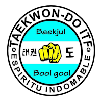 Taekwondo Espiritu Indomable