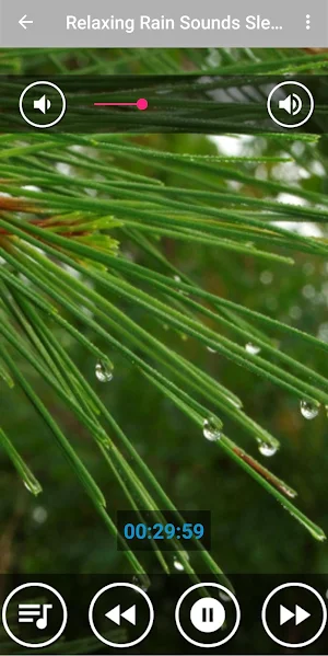 Rain Sounds : Sleep & Relax Screenshot 0