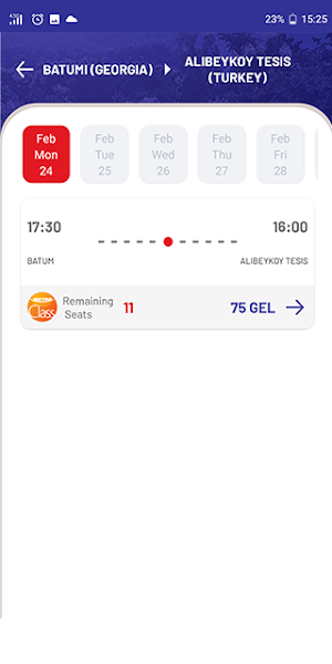 Metro Georgia Screenshot 2