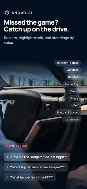 Snowy - AI Driving Assistant Screenshot 3