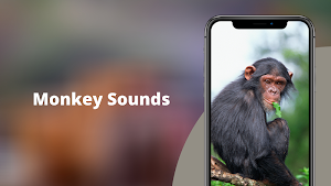 Monkey Sounds Screenshot 0