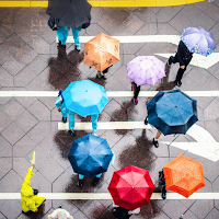 Umbrella Wet Weather Spinner