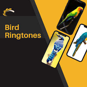 bird ringtones - Birds Sound Screenshot 3