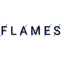 FLAMES Game