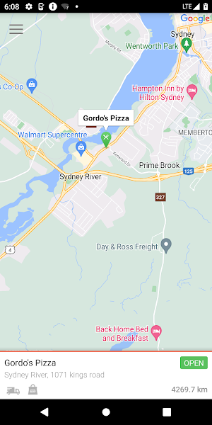 Gordo's Pizza Screenshot 1