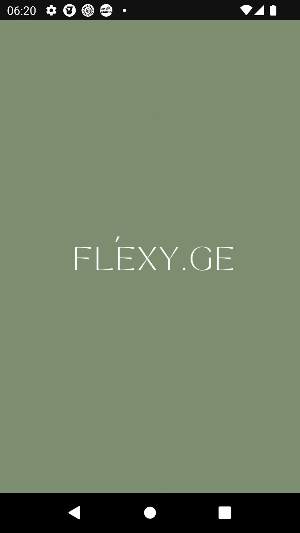 Flexy.GE Screenshot 0