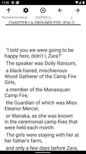 Book, The Camp Fire Girls at L Screenshot 1