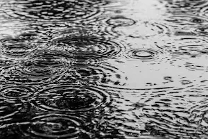 Rain wallpapers Screenshot 1