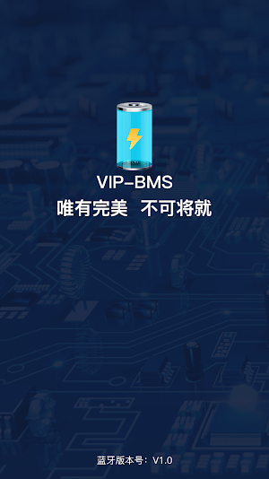 VIP-BMS Screenshot 2