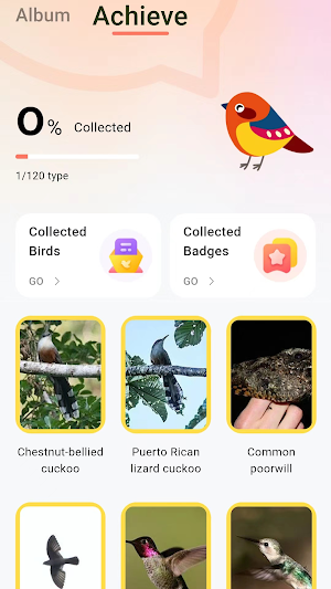 Peckperk Screenshot 1