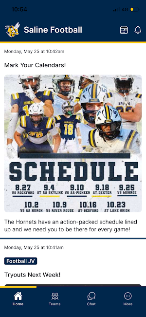 Saline Hornets Football Screenshot 0