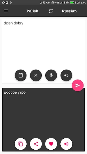 Polish-Russian Translator Screenshot 2