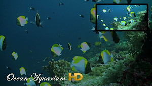 Ocean Aquarium HD Screenshot 0