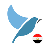 Learn MSA Arabic. Speak MSA Arabic. Study MSA.