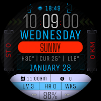 Watch Face WF174