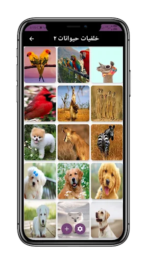 خلفيات حيوانات لطيفة 2022 Screenshot 1
