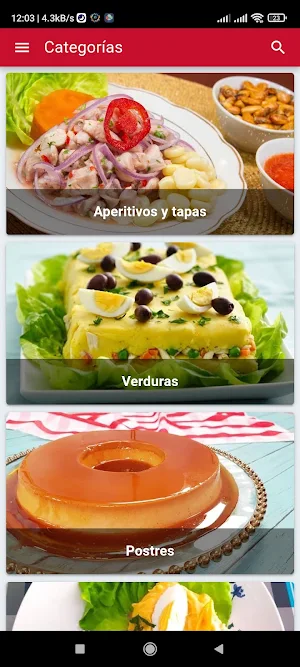 Recetas de Cocina Peruana Screenshot 0
