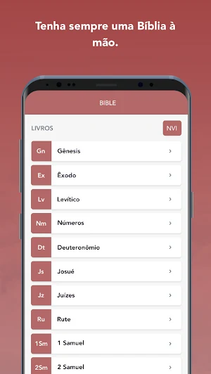 Desaflix Screenshot 3