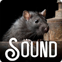 Rat Soundboard Ringtones