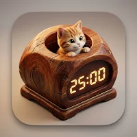 Wooden Timer: Focus Workshop