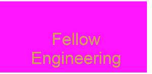 Fellows engineering quiz Screenshot 0