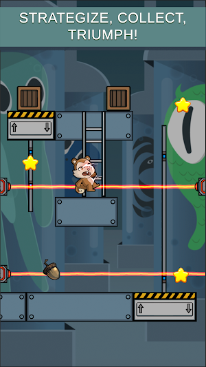 Find The Nut Screenshot 3