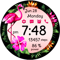 Flamingo Bloom