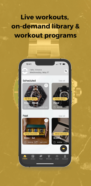 Lux Watch Supply Screenshot 1