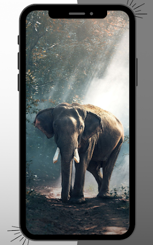 Elephant Wallpaper Screenshot 1