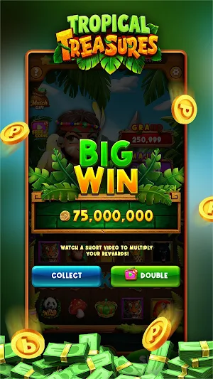 Tropical Treasures Screenshot 3