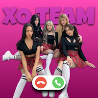 XO Team Video Call