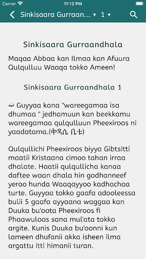 Galmee Amantaa Screenshot 1