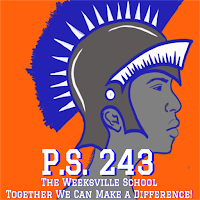 PS 243