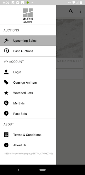 USA Stone Auction Screenshot 3