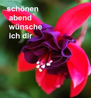 Schönen Abend Bilder Screenshot 3