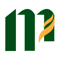MetroDash