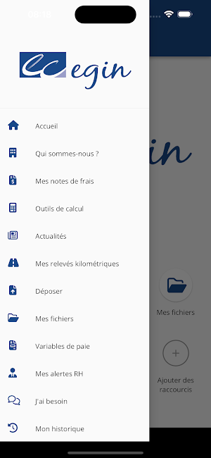 Echeverria&Asso Screenshot 2