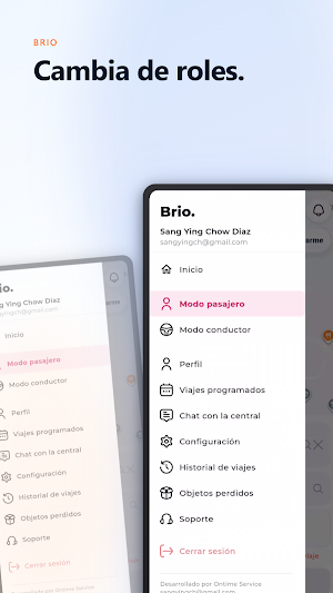 BRIO Screenshot 3