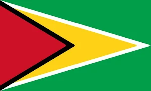 Guyana Analog Watch Face Screenshot 2