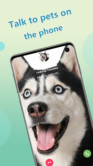 Dog&Cat translator-Pets talk Screenshot 3