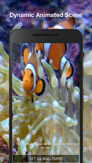 Real Fish Live Wallpaper Screenshot 1