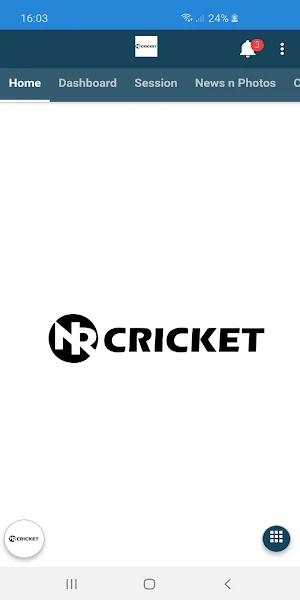 NR Cricket Screenshot 0