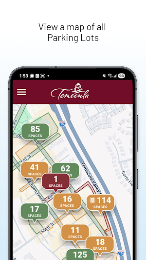 Temecula Parking Screenshot 1