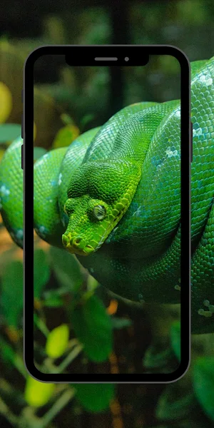 Snake Cool Wallpaper Screenshot 0